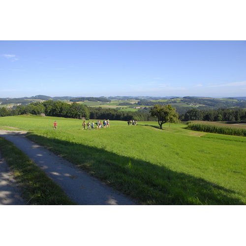 Bild 44 zum Weblog 10 Bild 44 zum Weblog 10