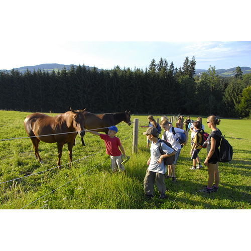 Bild 55 zum Weblog 10 Bild 55 zum Weblog 10
