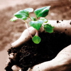 Bild zum Weblog-Eintrag 27