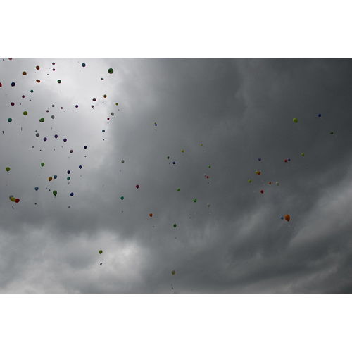 Bild 173 zum Weblog 31 Bild 173 zum Weblog 31