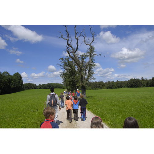 Bild 80 zum Weblog 33 Bild 80 zum Weblog 33