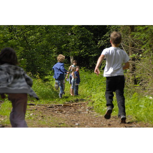 Bild 116 zum Weblog 33 Bild 116 zum Weblog 33