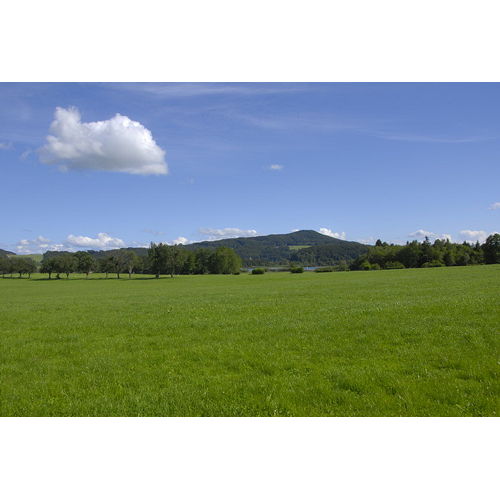 Bild 122 zum Weblog 33 Bild 122 zum Weblog 33