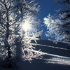 Bild zum Weblog-Eintrag 42