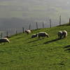 Bild zum Weblog-Eintrag 59