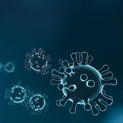 Bild zum Weblog Coronavirus Ma&szlig;nahmen
