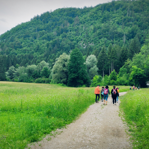 Bild zum Weblog Wandern am R&ouml;merweg im Warmbad