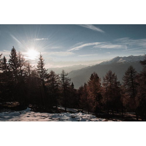 Bild 114 zum Weblog 1051