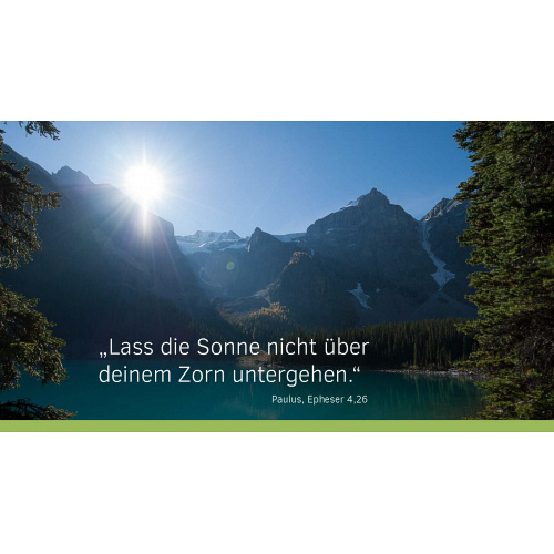 Bild 3 zum Weblog 1058