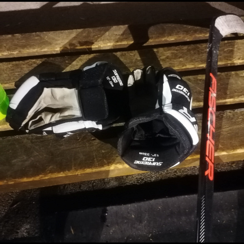 Bild zum Weblog Eishockey