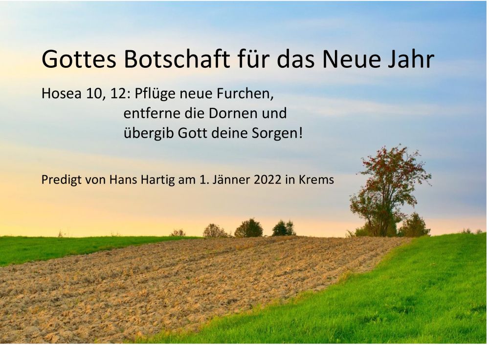 Bild zum Weblog
