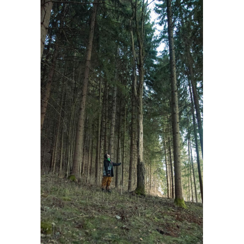 Bild 25 zum Weblog 1120
