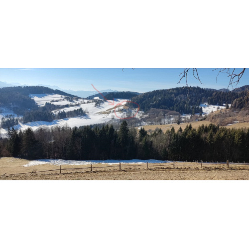 Bild 38 zum Weblog 1120