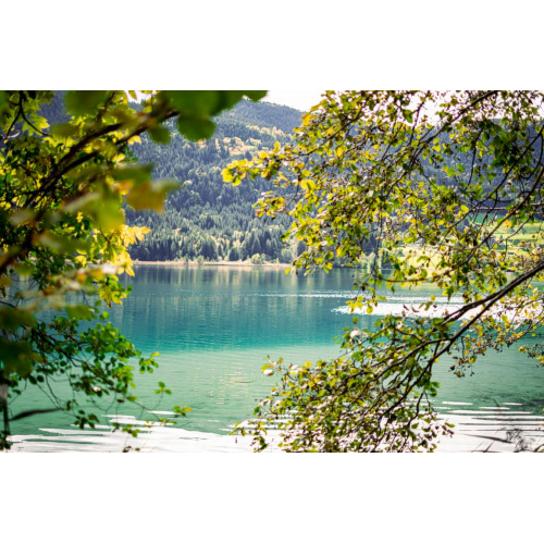 Bild 72 zum Weblog 1155