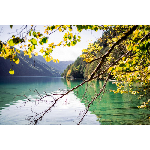 Bild 83 zum Weblog 1155