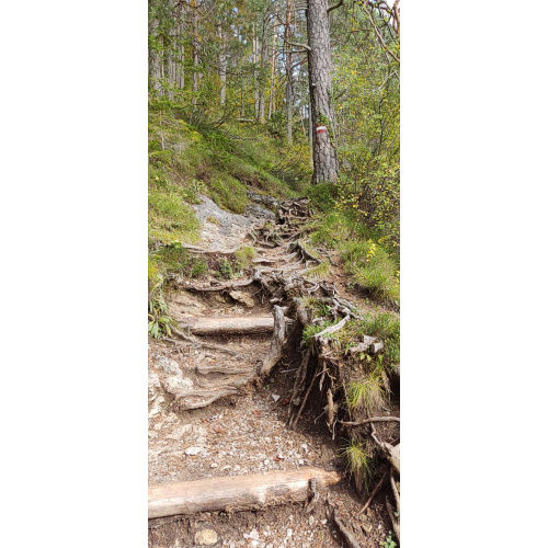 Bild 86 zum Weblog 1155