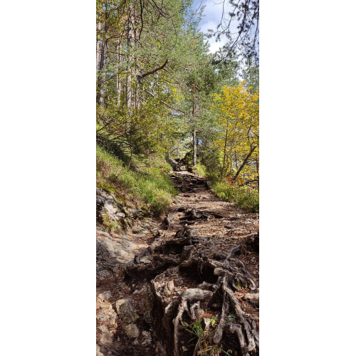 Bild 87 zum Weblog 1155