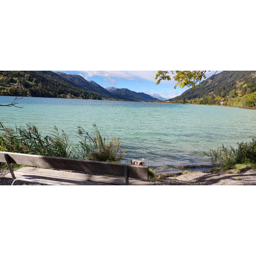 Bild 91 zum Weblog 1155