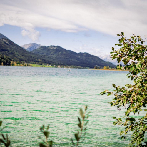 Bild zum Weblog Gemeinsam unterwegs am Wei&szlig;ensee