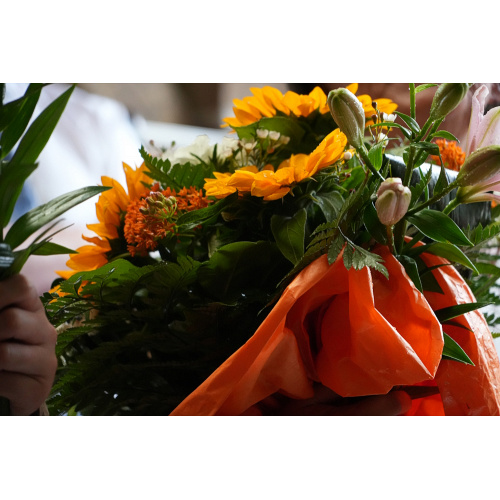 Bild 12 zum Weblog 1219
