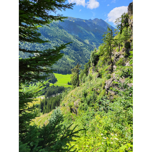 Bild 22 zum Weblog 1220