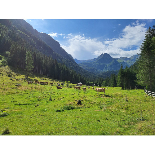 Bild 38 zum Weblog 1220