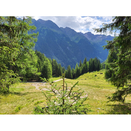 Bild 40 zum Weblog 1220