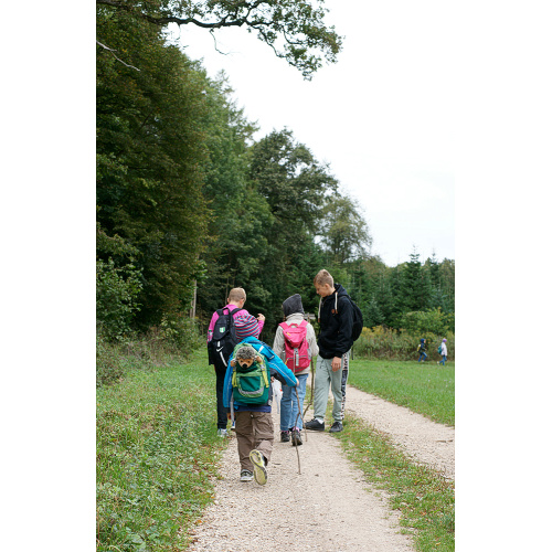 Bild 3 zum Weblog 1245