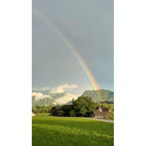 Bild 11 zum Weblog 1249