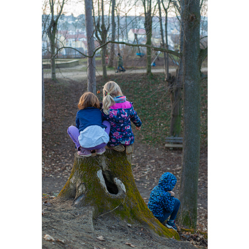 Bild 9 zum Weblog 1285