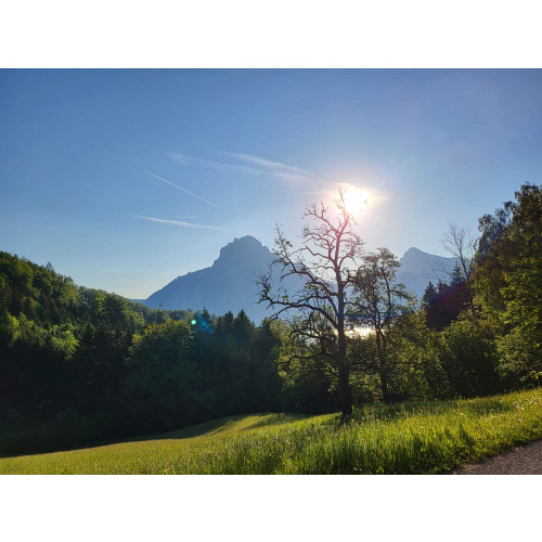 Bild 33 zum Weblog 1297