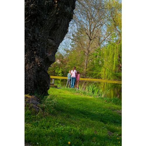 Bild 6 zum Weblog 1304