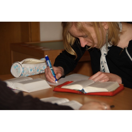 Bild 7 zum Weblog 135