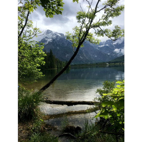 Bild 7 zum Weblog 1363