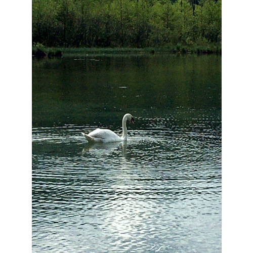 Bild 9 zum Weblog 1363