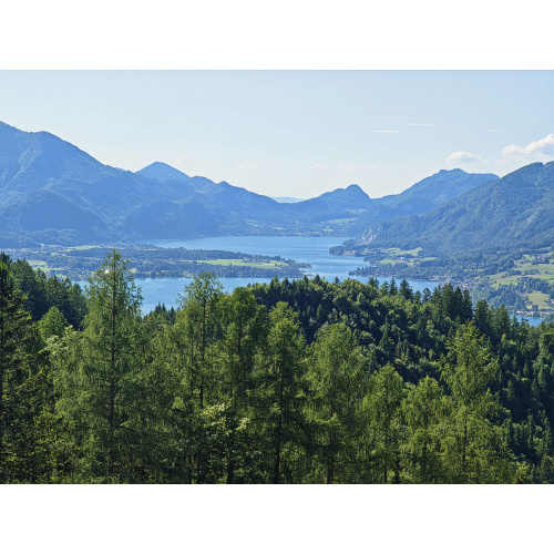 Bild 4 zum Weblog 1376