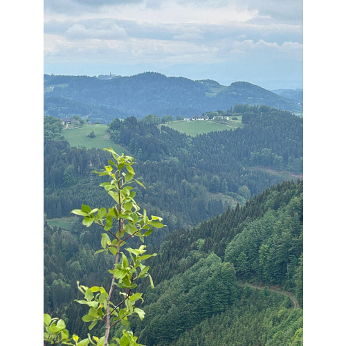 Bild 2 zum Weblog 1427