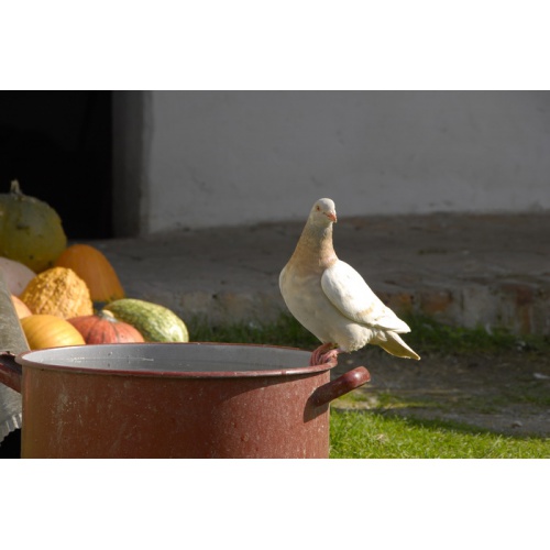 Bild 77 zum Weblog 24