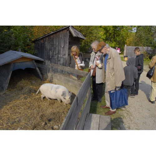 Bild 80 zum Weblog 24