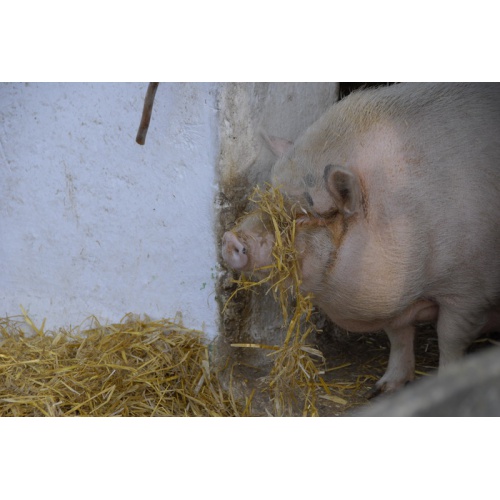 Bild 81 zum Weblog 24