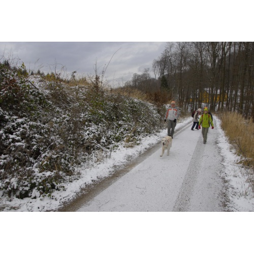 Bild 19 zum Weblog 25
