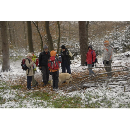 Bild 61 zum Weblog 25
