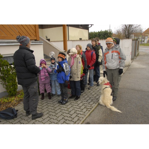 Bild 63 zum Weblog 25