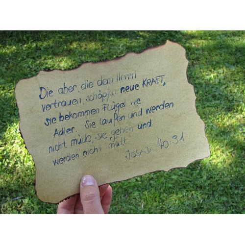 Bild 19 zum Weblog 260