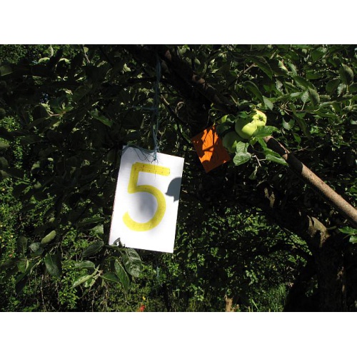Bild 12 zum Weblog 260