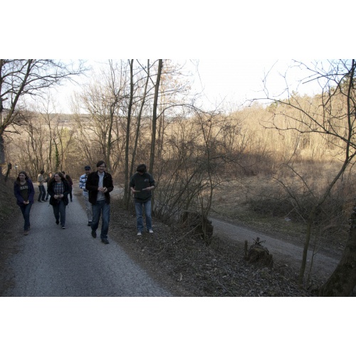 Bild 5 zum Weblog 303