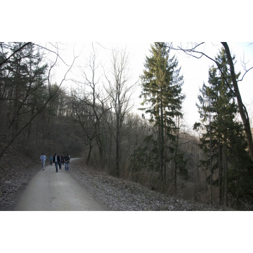 Bild 6 zum Weblog 303
