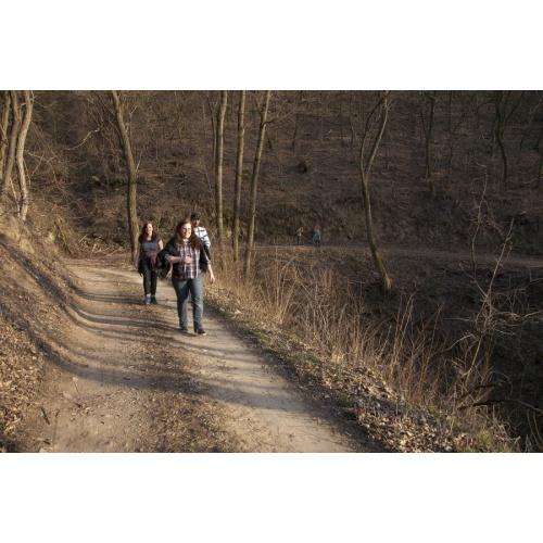 Bild 29 zum Weblog 303