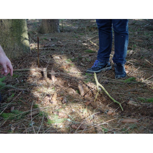 Bild 12 zum Weblog 321