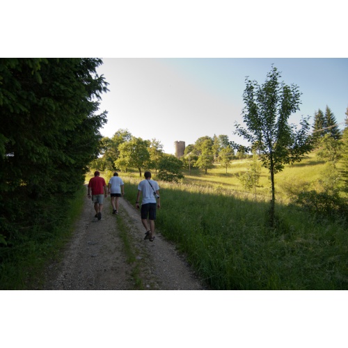 Bild 51 zum Weblog 329